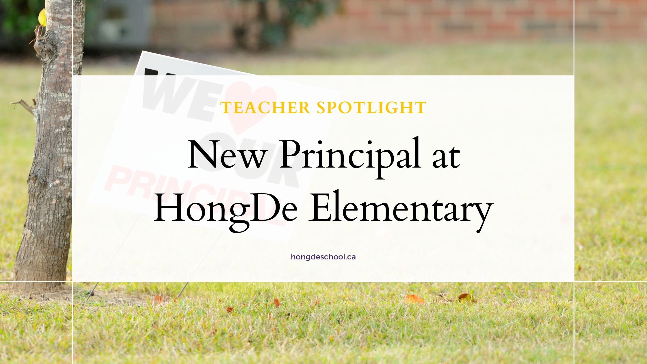 Introducing Brittany Conlon: Our New Principal at HongDe Elementary. Featured Image