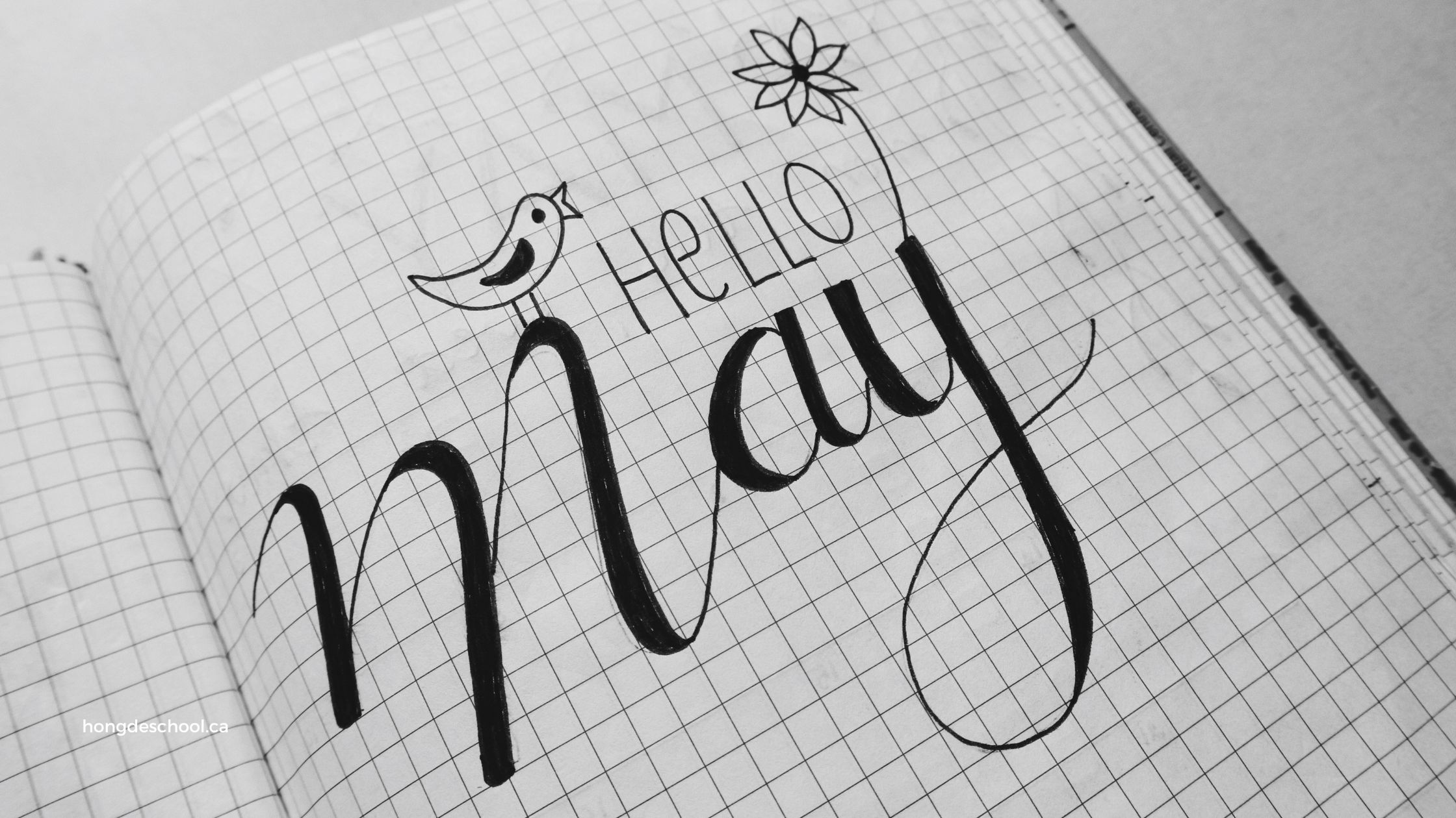 Hello May - events of the month