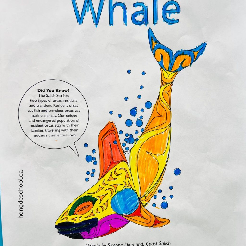 Whale in Indigenous art. A whale by Simone Diamond from Coast Salish community