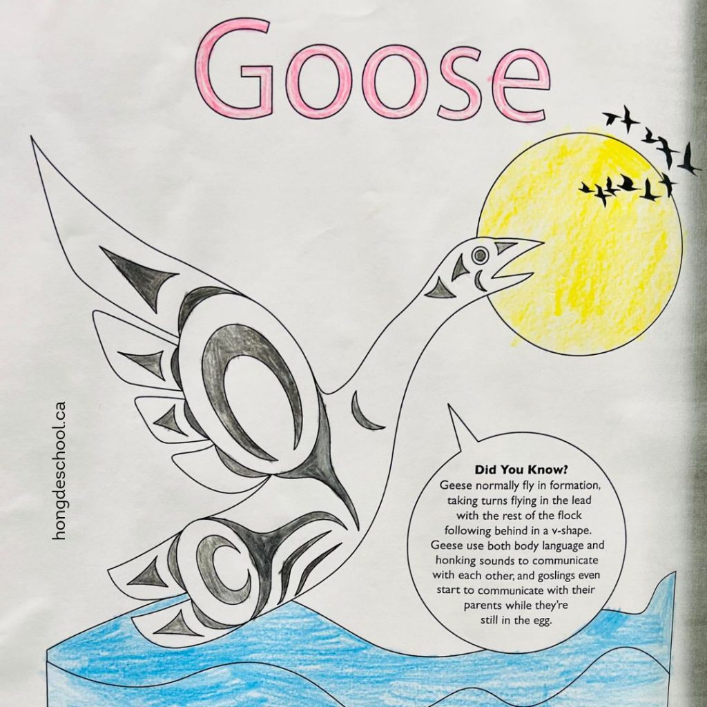 A beautiful goose by Maynard Johnny Jr., an artist from the Coast Salish, Kwakwaka'wakw communities.