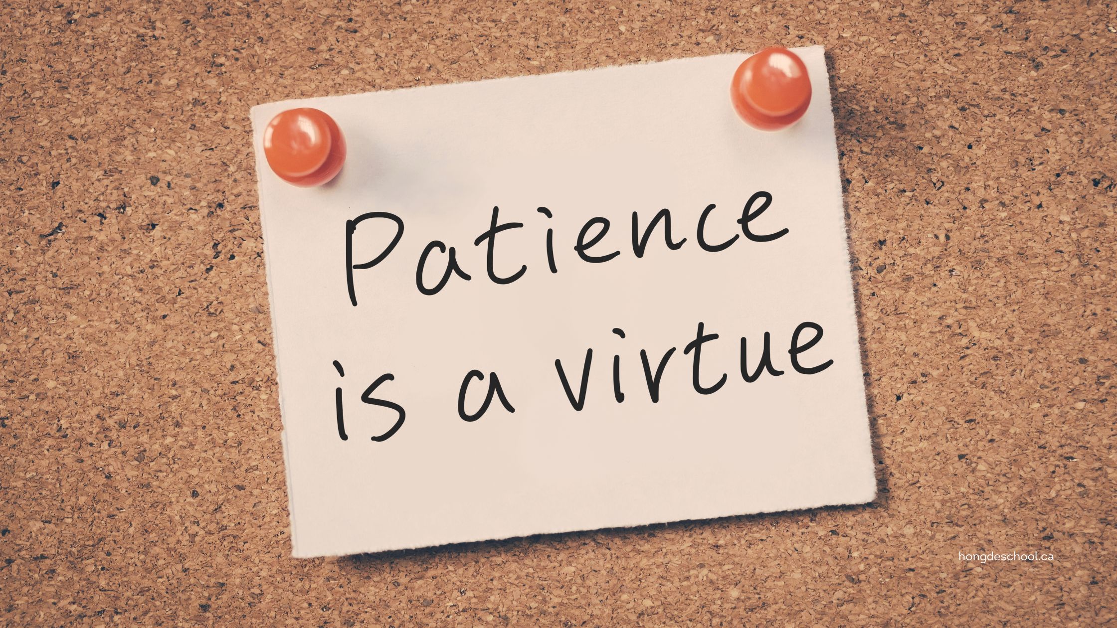 Patience: Virtue of November. Featured Image