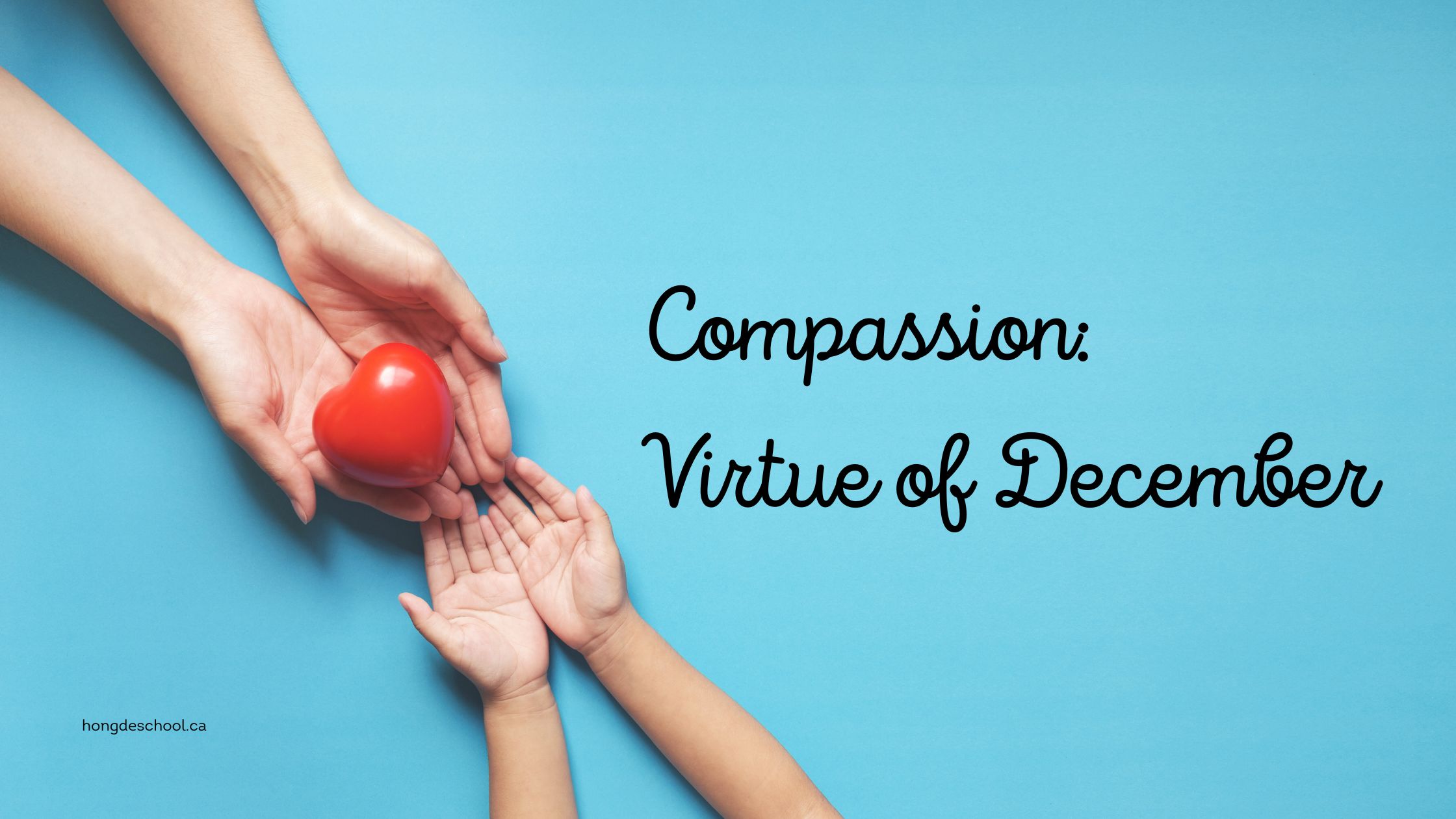 Compassion: Virtue of December. Featured Image